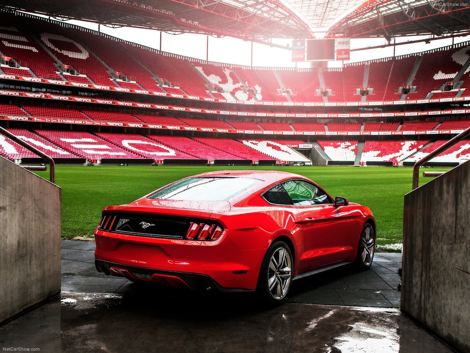 2015 Mustang Wheels >> 3DTuning of Mustang GT Coupe 2015 3DTuning.com - unique on-line car configurator for more than ... 2015 Mustang Wheels >> 3DTuning of Mustang GT Coupe 2015 3DTuning.com - unique on-line car configurator for more than ...